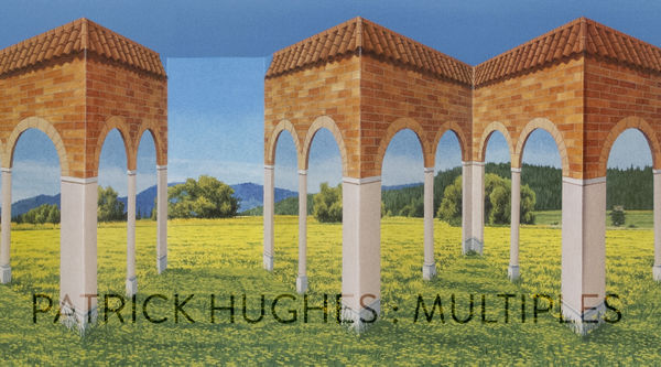 Patrick Hughes: Multiples